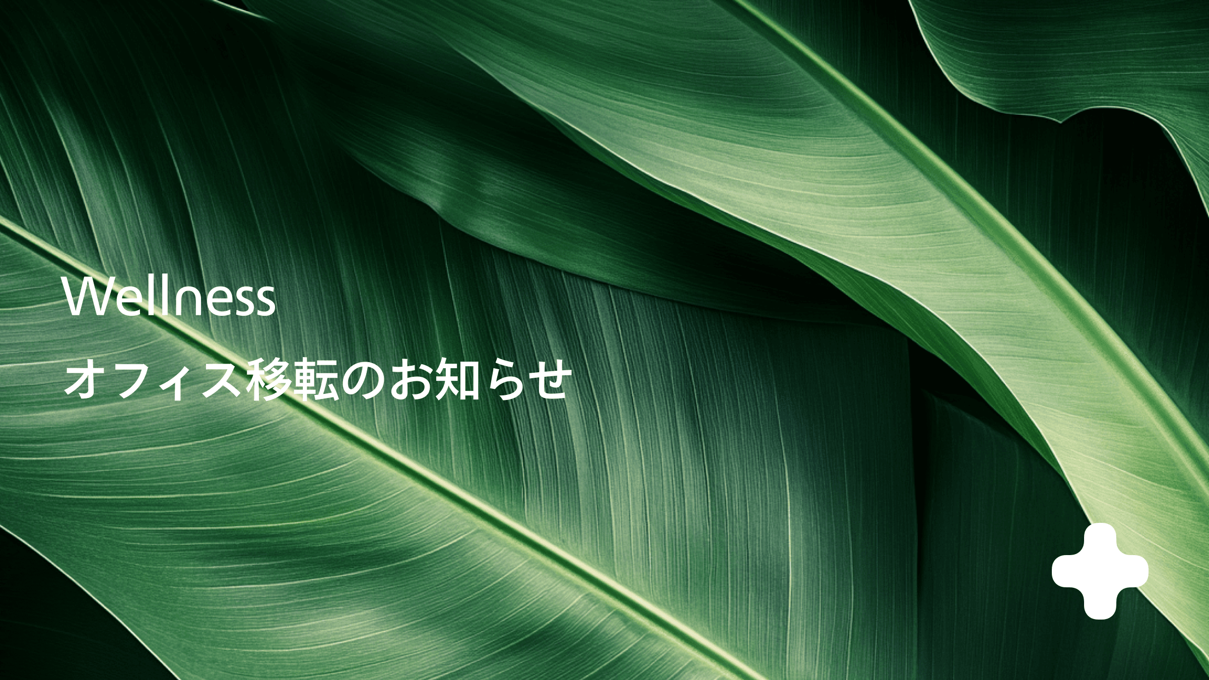 ヒーローイメージ